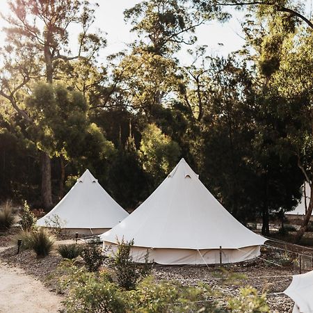 Bay Of Fires Bush Retreat Bed & Breakfast Binalong Bay Exterior foto